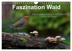 Faszination Wald. Waldimpressionen aus Nordhessen von Lutz Klapp (Wandkalender 2026 DIN A4 quer), CALVENDO Monatskalender
