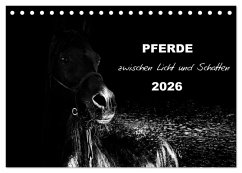 Pferde zwischen Licht und Schatten (Tischkalender 2026 DIN A5 quer), CALVENDO Monatskalender