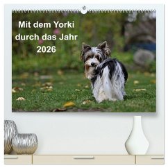 Cover Mit dem Yorki durch das Jahr 2026 (hochwertiger Premium Wandkalender 2026 DIN A2 quer), Kunstdruck in Hochglanz