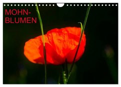 Cover Mohnblumen (Wandkalender 2026 DIN A4 quer), CALVENDO Monatskalender