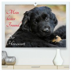 Mein bester Freund - Der Hovawart (hochwertiger Premium Wandkalender 2026 DIN A2 quer), Kunstdruck in Hochglanz Mein bester Freund - Der Hovawart (hochwertiger Premium Wandkalender 2026 DIN A2 quer), Kunstdruck in Hochglanz