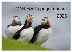 Welt der Papageitaucher (Wandkalender 2026 DIN A2 quer), CALVENDO Monatskalender