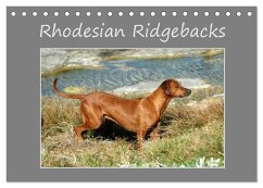 Rhodesian Ridgebacks (Tischkalender 2026 DIN A5 quer), CALVENDO Monatskalender Rhodesian Ridgebacks (Tischkalender 2026 DIN A5 quer), CALVENDO Monatskalender