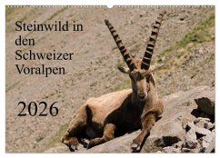 Cover Steinwild in den Schweizer Voralpen (Wandkalender 2026 DIN A2 quer), CALVENDO Monatskalender