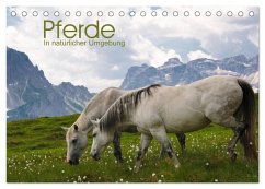 Cover Pferde - In natürlicher Umgebung (Tischkalender 2026 DIN A5 quer), CALVENDO Monatskalender