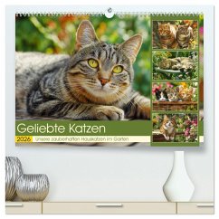 Cover Geliebte Katzen. Unsere zauberhaften Hauskatzen im Garten (hochwertiger Premium Wandkalender 2026 DIN A2 quer), Kunstdruck in Hochglanz