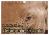 Bedrohte Riesen - Elefanten in Sri... - Bild 1