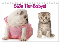 Süße Tier-Babys! (Tischkalender 2026 DIN A5 quer), CALVENDO Monatskalender