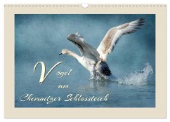 Cover Vögel am Chemnitzer Schlossteich (Wandkalender 2026 DIN A3 quer), CALVENDO Monatskalender