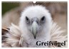 Greifvögel (Wandkalender 2026 DIN A3... - Bild 1