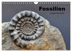 Fossilien - Zeugen der Urzeit (Wandkalender 2026 DIN A4 quer), CALVENDO Monatskalender