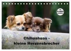 Chihuahuas - kleine Herzensbrecher (Tischkalender 2026 DIN A5 quer), CALVENDO Monatskalender Cover Chihuahuas - kleine Herzensbrecher (Tischkalender 2026 DIN A5 quer), CALVENDO Monatskalender