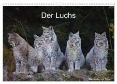 Der Luchs (Wandkalender 2026 DIN A3 quer), CALVENDO Monatskalender Der Luchs (Wandkalender 2026 DIN A3 quer), CALVENDO Monatskalender