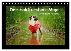 Der Feldfurchen-Mops (Tischkalender 2026 DIN A5 quer), CALVENDO Monatskalender Der Feldfurchen-Mops (Tischkalender 2026 DIN A5 quer), CALVENDO Monatskalender