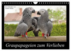 Graupapageien zum Verlieben (Wandkalender 2026 DIN A4 quer), CALVENDO Monatskalender Cover Graupapageien zum Verlieben (Wandkalender 2026 DIN A4 quer), CALVENDO Monatskalender