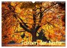 Farben der Natur (Wandkalender 2026 DIN... - Bild 1