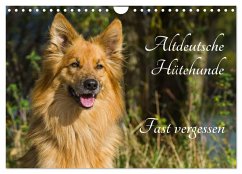 Cover Altdeutsche Hütehunde - Fast vergessen (Wandkalender 2026 DIN A4 quer), CALVENDO Monatskalender