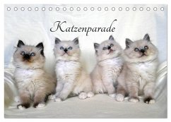 Katzenparade (Tischkalender 2026 DIN A5 quer), CALVENDO Monatskalender