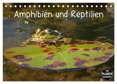 Cover Amphibien und Reptilien (Tischkalender 2026 DIN A5 quer), CALVENDO Monatskalender