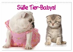 Süße Tier-Babys! (Wandkalender 2026 DIN A3 quer), CALVENDO Monatskalender