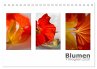 Blumen Trilogien (Tischkalender 2026... - Bild 1