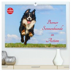 Berner Sennenhunde in Action (hochwertiger Premium Wandkalender 2026 DIN A2 quer), Kunstdruck in Hochglanz