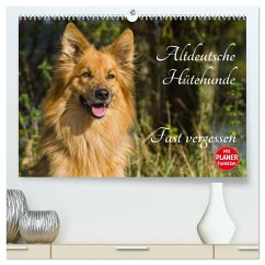 Cover Altdeutsche Hütehunde - Fast vergessen (hochwertiger Premium Wandkalender 2026 DIN A2 quer), Kunstdruck in Hochglanz