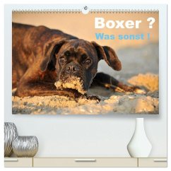Cover Boxer ? Was sonst ! (hochwertiger Premium Wandkalender 2026 DIN A2 quer), Kunstdruck in Hochglanz