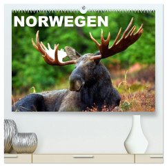 Cover Norwegen (hochwertiger Premium Wandkalender 2026 DIN A2 quer), Kunstdruck in Hochglanz
