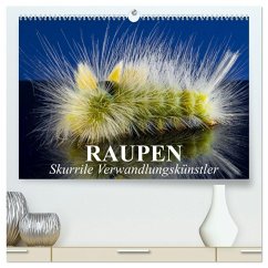 Cover Raupen - Skurrile Verwandlungskünstler (hochwertiger Premium Wandkalender 2026 DIN A2 quer), Kunstdruck in Hochglanz
