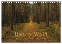 Cover Unser Wald - Magische Sichten in norddeutsche Wälder (Wandkalender 2026 DIN A4 quer), CALVENDO Monatskalender