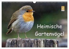 Heimische Gartenvögel (Wandkalender 2026 DIN A3 quer), CALVENDO Monatskalender