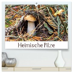 Heimische Pilze (hochwertiger Premium Wandkalender 2026 DIN A2 quer), Kunstdruck in Hochglanz Cover Heimische Pilze (hochwertiger Premium Wandkalender 2026 DIN A2 quer), Kunstdruck in Hochglanz