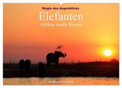 Magie des Augenblicks - Elefanten - Afrikas sanfte Riesen (Wandkalender 2026 DIN A2 quer), CALVENDO Monatskalender Magie des Augenblicks - Elefanten - Afrikas sanfte Riesen (Wandkalender 2026 DIN A2 quer), CALVENDO Monatskalender