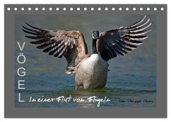 Cover VÖGEL (Tischkalender 2026 DIN A5 quer), CALVENDO Monatskalender