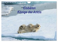 Eisbären - Könige der Arktis (Wandkalender 2026 DIN A4 quer), CALVENDO Monatskalender Eisbären - Könige der Arktis (Wandkalender 2026 DIN A4 quer), CALVENDO Monatskalender
