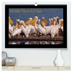 Cover Wilde Tiere Afrikas (hochwertiger Premium Wandkalender 2026 DIN A2 quer), Kunstdruck in Hochglanz