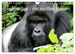 Berggorillas - die sanften Riesen (Wandkalender 2026 DIN A4 quer), CALVENDO Monatskalender Berggorillas - die sanften Riesen (Wandkalender 2026 DIN A4 quer), CALVENDO Monatskalender