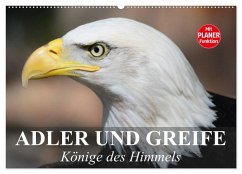 Adler und Greife. Könige des Himmels (Wandkalender 2026 DIN A2 quer), CALVENDO Monatskalender