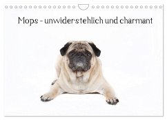 Mops - unwiderstehlich und charmant (Wandkalender 2026 DIN A4 quer), CALVENDO Monatskalender
