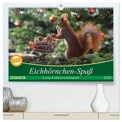 Eichhörnchen-Spaß (hochwertiger Premium Wandkalender 2026 DIN A2 quer), Kunstdruck in Hochglanz