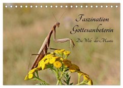 Cover Faszination Gottesanbeterin - Die Welt der Mantis (Tischkalender 2026 DIN A5 quer), CALVENDO Monatskalender