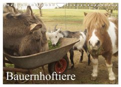 Cover Bauernhoftiere (Wandkalender 2026 DIN A4 quer), CALVENDO Monatskalender