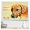 Rhodesian Ridgeback 2026 (hochwertiger... - Bild 1