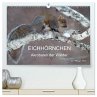 EICHHÖRNCHEN (hochwertiger Premium... - Bild 1