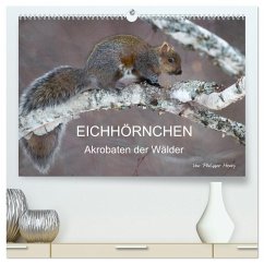 Cover EICHHÖRNCHEN (hochwertiger Premium Wandkalender 2026 DIN A2 quer), Kunstdruck in Hochglanz
