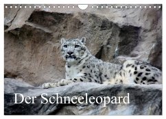 Der Schneeleopard (Wandkalender 2026 DIN A4 quer), CALVENDO Monatskalender Der Schneeleopard (Wandkalender 2026 DIN A4 quer), CALVENDO Monatskalender
