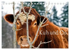 Kuh und Co. (Tischkalender 2026 DIN A5 quer), CALVENDO Monatskalender Kuh und Co. (Tischkalender 2026 DIN A5 quer), CALVENDO Monatskalender