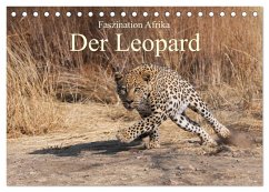 Faszination Afrika: Der Leopard (Tischkalender 2026 DIN A5 quer), CALVENDO Monatskalender Faszination Afrika: Der Leopard (Tischkalender 2026 DIN A5 quer), CALVENDO Monatskalender