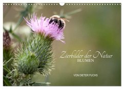 Zierbilder der Natur BLUMEN (Wandkalender 2026 DIN A3 quer), CALVENDO Monatskalender